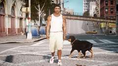 GTA V Franklin Clinton