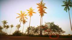 Vice ENB für GTA Vice City